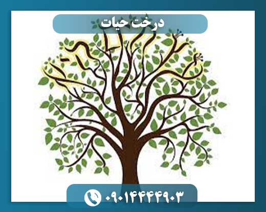 درخت حیات