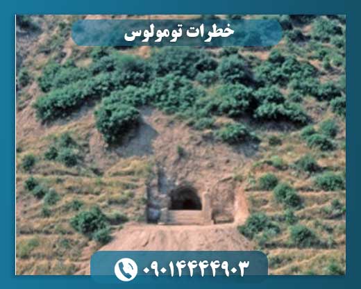 خطرات تومولوس 09014444903