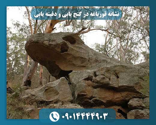 اسرار نشانه‌های باستانی: قورباغه نماد چیست و به کدام گنج اشاره دارد؟