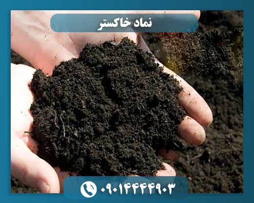 نماد خاکستر: کلیدی برای کشف اسرار گذشتگان 09014444903