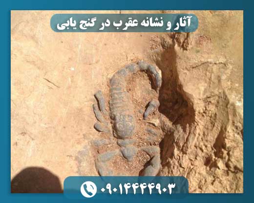 عقرب و دفینه: آنچه باید درباره این نماد بدانید 09014444903