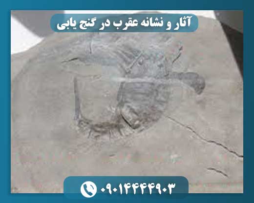 تفسیر نشانه عقرب در گنجیابی: واقعیتها و باورها 09014444903