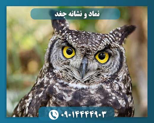نشان جغد: راهنمای کامل برای کشف گنج و دفینههای باستانی 09014444903