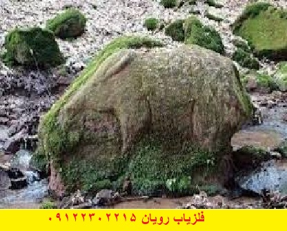 نشانه فیل در گنج یابی