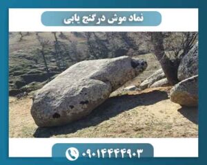 نماد موش درگنج یابی 09014444903