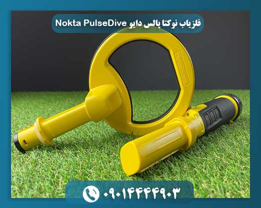 فلزیاب نوکتا پالس دایو Nokta PulseDive 0914444903