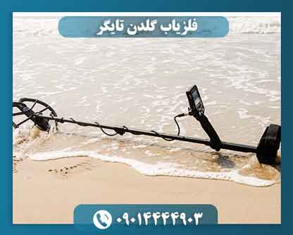 فلزیاب گلدن تایگر