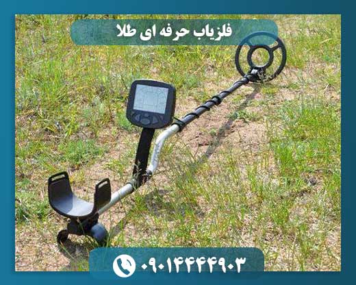 فلزیاب حرفه ای طلا