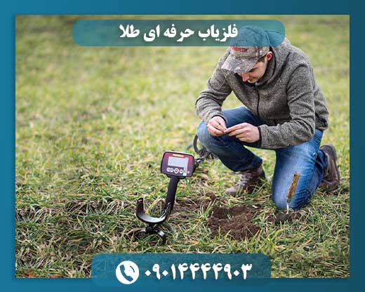 فلزیاب حرفه ای طلا