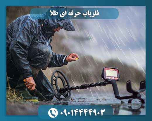 فلزیاب حرفه ای طلا