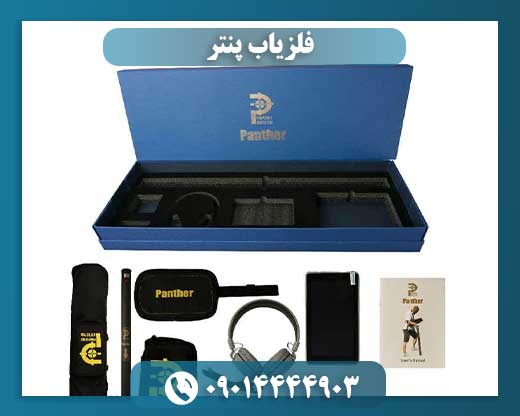فلزیاب پنتر