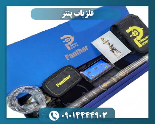 فلزیاب پنتر