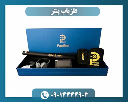 فلزیاب پنتر