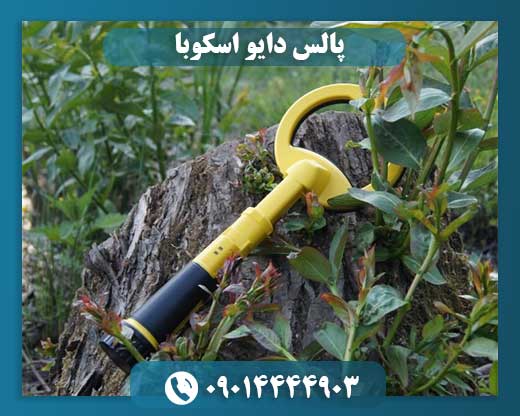 پالس دایو اسکوبا 09014444903