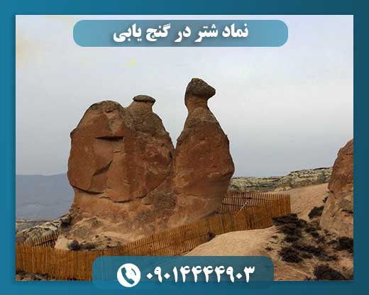 نماد شتر در گنج یابی 09014444903