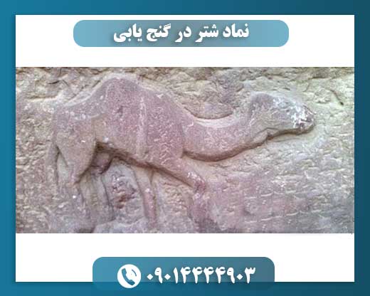 نماد شتر در گنج یابی 09014444903