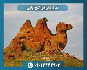 نماد شتر در گنج یابی 09014444903