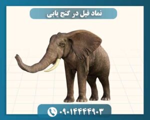 نماد فیل در گنج یابی 09014444903