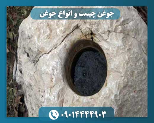 جوغن چیست و انواع جوغن 09014444903