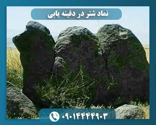 نماد شتر در دفینه یابی 09014444903