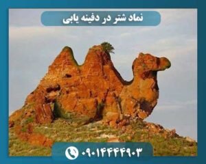 نماد شتر در دفینه یابی 09014444903