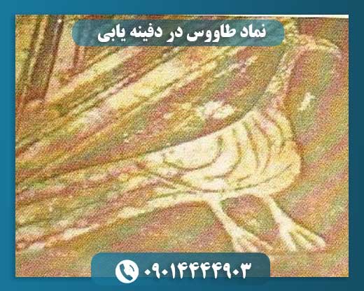 نماد طاووس در دفینه یابی 09014444903