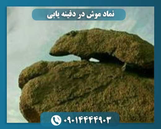 نماد موش در دفینه یابی 09014444903