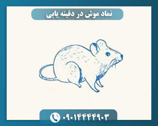 نماد موش در دفینه یابی 09014444903
