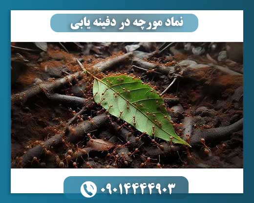نماد مورچه در دفینه یابی 09014444903