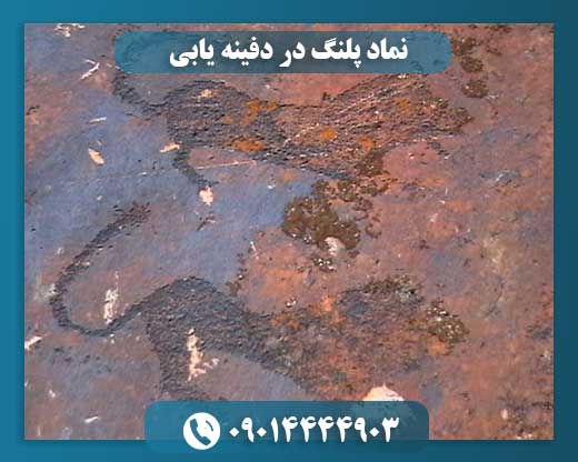نماد پلنگ در دفینه یابی 09014444903
