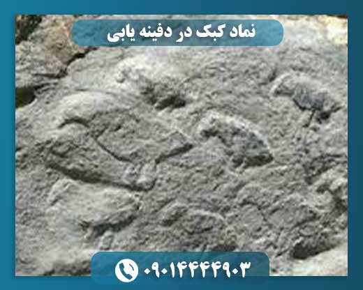 نماد کبک در دفینه یابی 09014444903