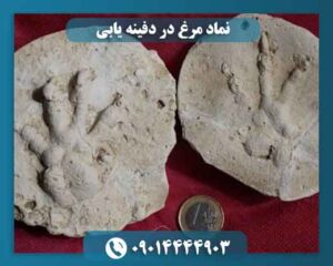 نماد مرغ در دفینه یابی 09014444903