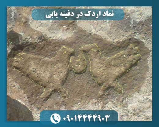 نماد اردک در دفینه یابی 09014444903