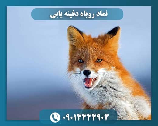 نماد روباه دفینه یابی 09014444903
