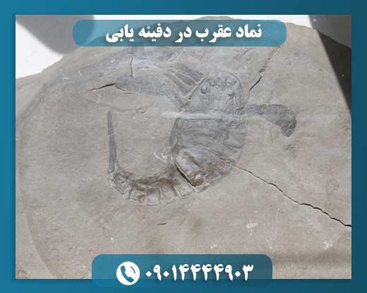 نماد عقرب در دفینه یابی 09014444903