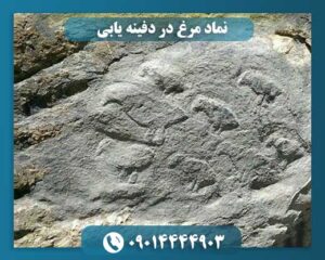 نماد مرغ در دفینه یابی 09014444903