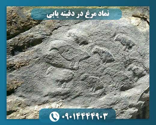 نماد مرغ در دفینه یابی 09014444903