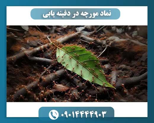 نماد مورچه در دفینه یابی 09014444903