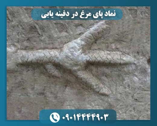 نماد پای مرغ در دفینه یابی 09014444903