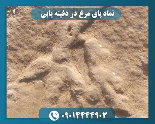 نماد پای مرغ در دفینه یابی 09014444903