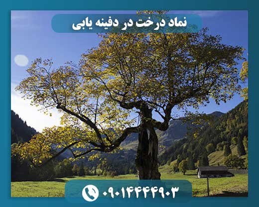 از ریشه تا گنج: رمزگشایی نماد درخت در گنج‌یابی باستانی 09014444903