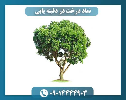 درختان، نگهبانان گنج: کاوشی در اسرار دفینه‌یابی 09014444903