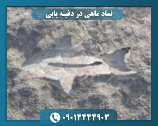نماد ماهی در دفینه یابی 09014444903